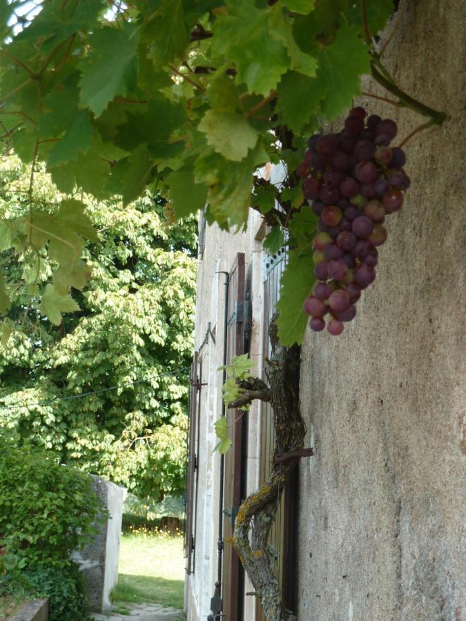 A L'Ombre Du Marronnier Gites La Peruse 外观 照片