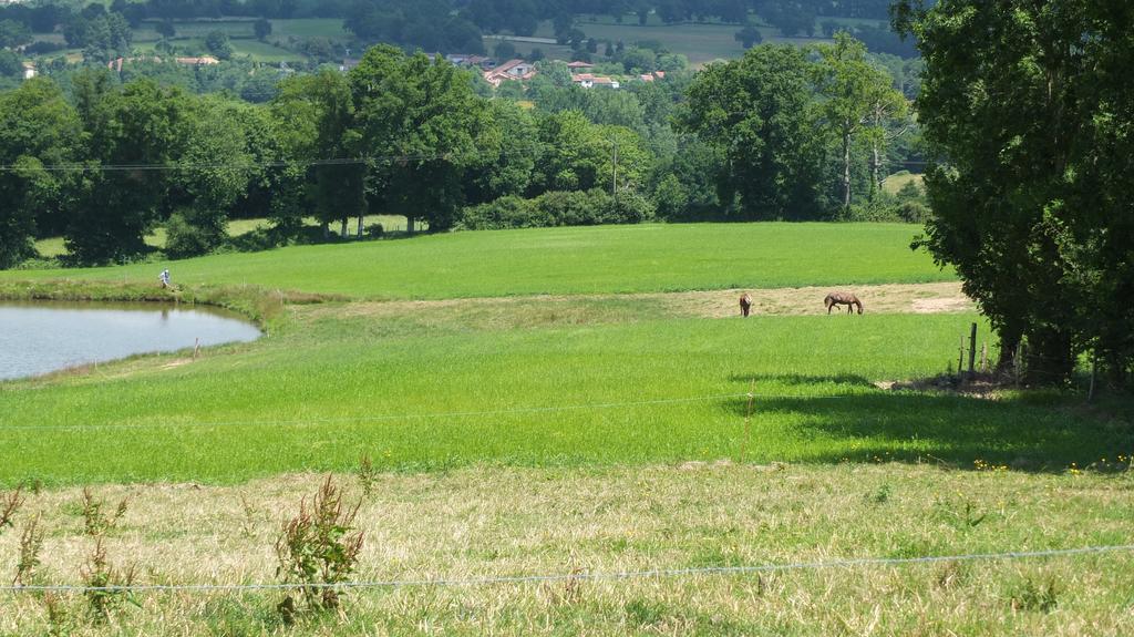 A L'Ombre Du Marronnier Gites La Peruse 外观 照片